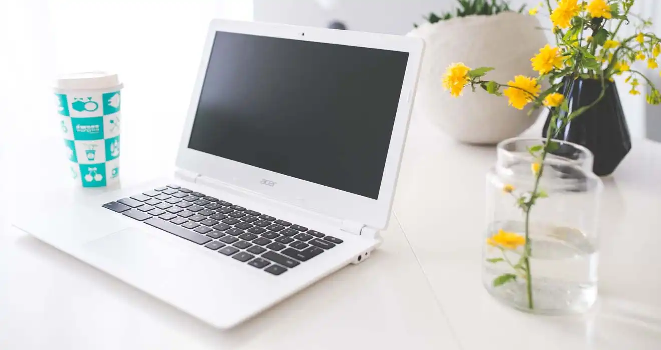 Ремонт ноутбуков Acer в Сочи