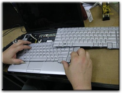 Ремонт клавиатуры на ноутбуке Toshiba в Сочи