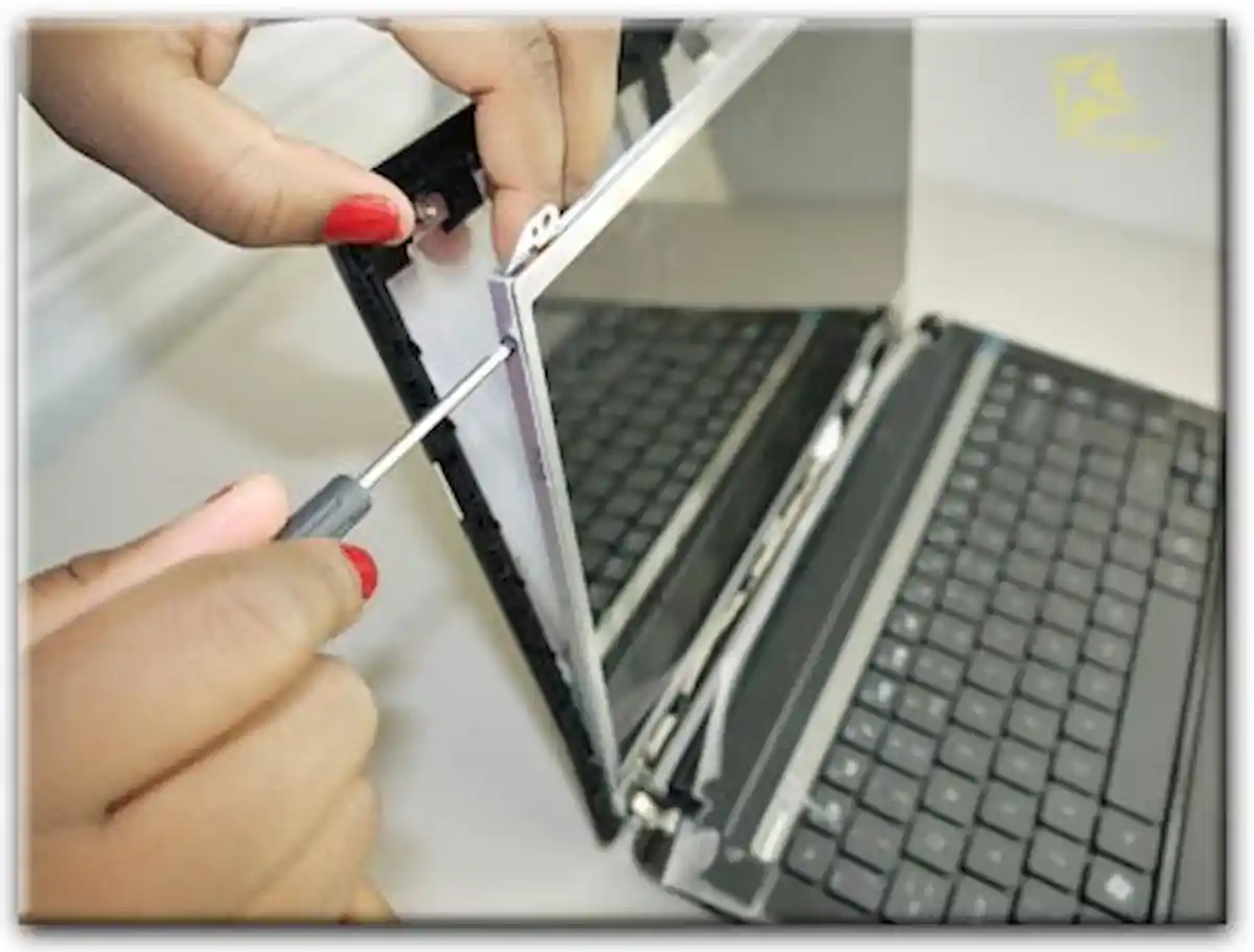 Замена экрана ноутбука Packard Bell в Сочи